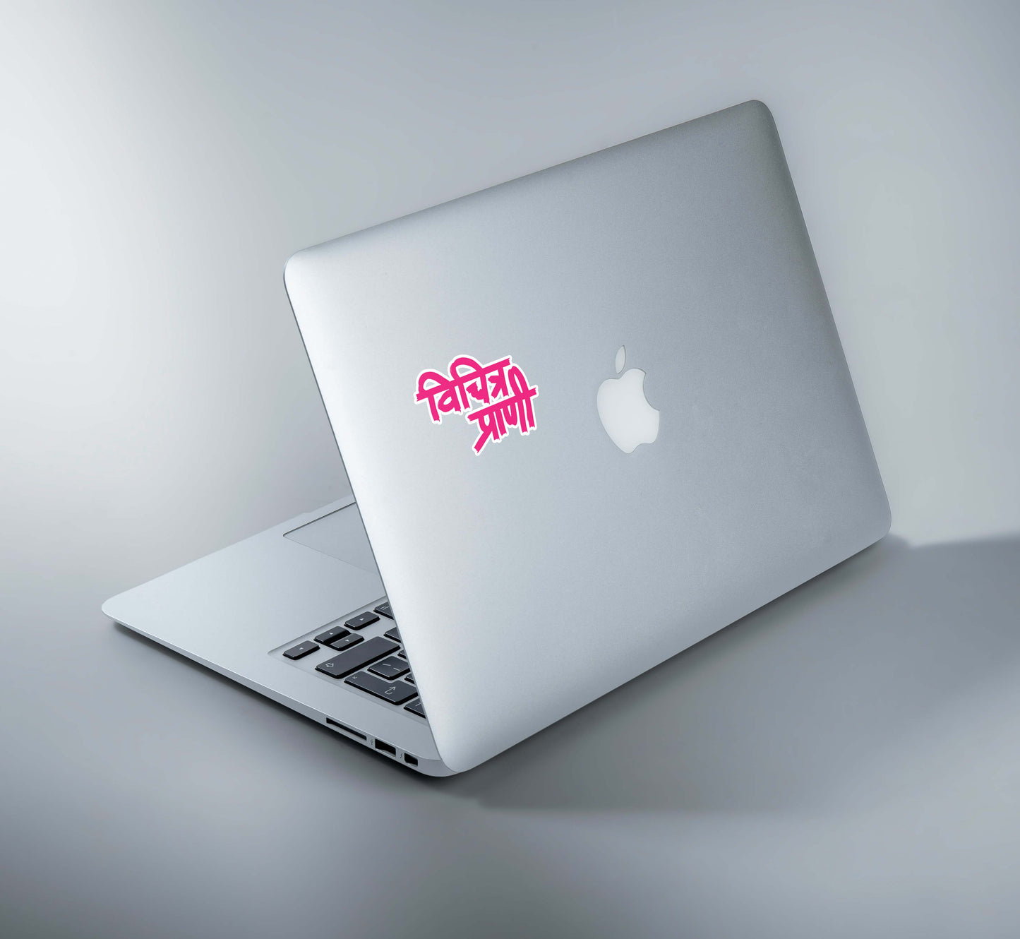 vichitra praani laptop sticker- set of 4